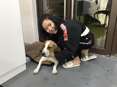 -菠萝格斗巴西柔术训练馆