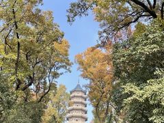 -灵谷景区
