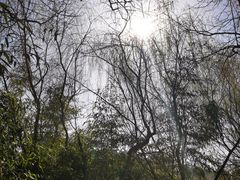 -西安汉城湖景区