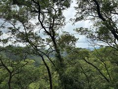 -滴水岩森林公园