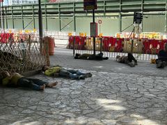 -九龙寨城公园
