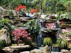 -南山植物园