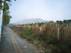 -武汉动物园