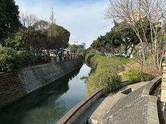 -神仙树公园