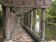 -南汇桃花村