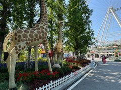 -大连森林动物园