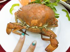 -QQ海鲜餐厅
