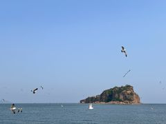 -棒棰岛宾馆景区