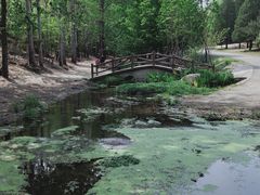 -白水寺森林公园