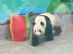 -临沂动植物园