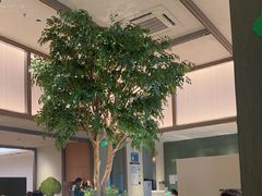 -榕意·川味之美(深业上城店)