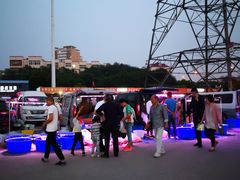 -中环花鸟鱼虫市场