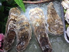 -港畔赶海蒸汽海鲜烧烤自助(仙螺岛店)
