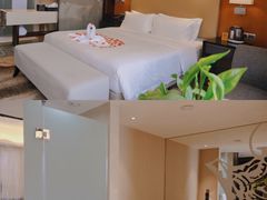 -成都明宇丽雅饭店