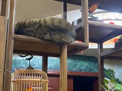 -九寨沟石锅鱼(沣峪口二十年店)