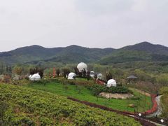 -石塘人家