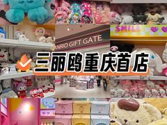 -龙湖重庆时代天街