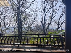 -杭州半山国家森林公园