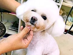 -天津前进宠物医院(前进道店)