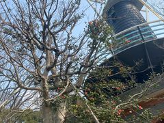 -上海鲜花港