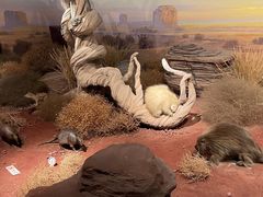 -陕西自然博物馆