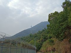 -梧桐山风景名胜区