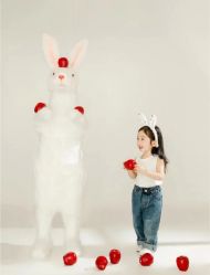 点击看大图 -邦洛·视觉摄影(华润店)