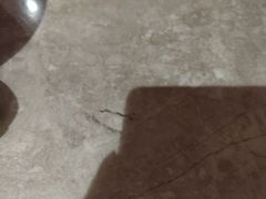 -星河湾温泉洗浴酒店