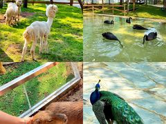 -南戴河国际娱乐中心