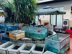 -稻香村鱼庄