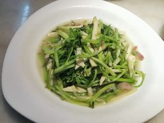 -東大方(安吉灵芝店)
