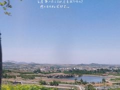 -日照海滨国家森林公园