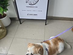 -守诺宠物医院·眼科· 神经外科·爬宠专科(虹口店)