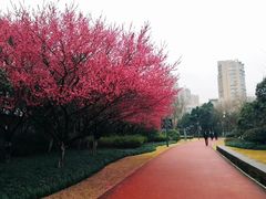 -杭州城北体育公园