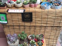 -小洲村