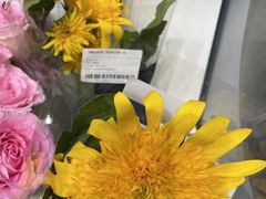 -盒马鲜生(宝地店)