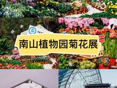 -南山植物园