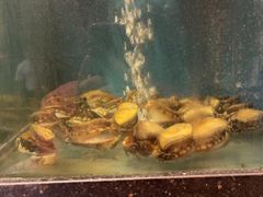 -聚鑫阁江浙菜·非遗传承技艺(青村帝华园店)