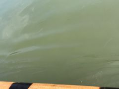 -九曲溪竹筏码头