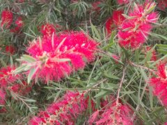 -云漫湖生态度假公园