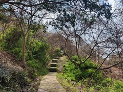 -良渚文化村