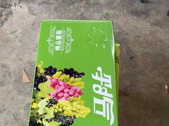 -马陆小张葡萄园农家乐