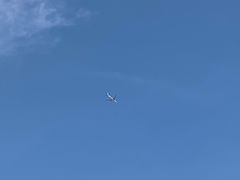 -昆山城市生态森林公园