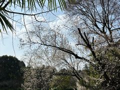 -成都杜甫草堂博物馆