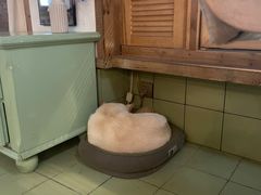 -乌糖沙茶面(民族路店)