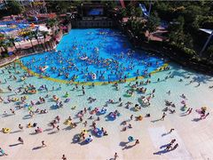 -重庆海昌加勒比海水世界