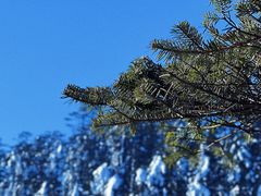 -瓦屋山景区