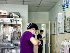 -酷宠动物医院(天通西苑店)