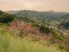 -石潭村