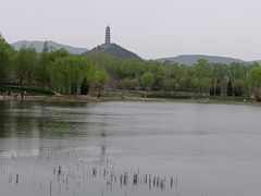 -北坞公园
